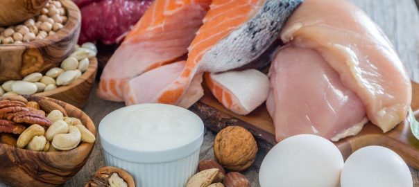 low carb foods that are high in protein